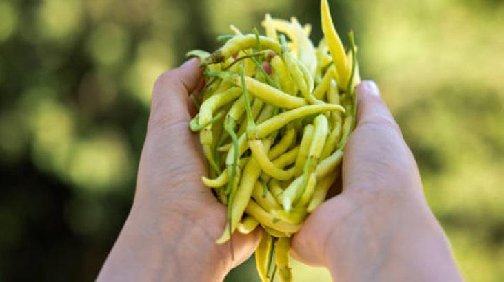 Acı biber sonrası eller cayır cayır yanıyor! İşte rahatlatıcı formülü