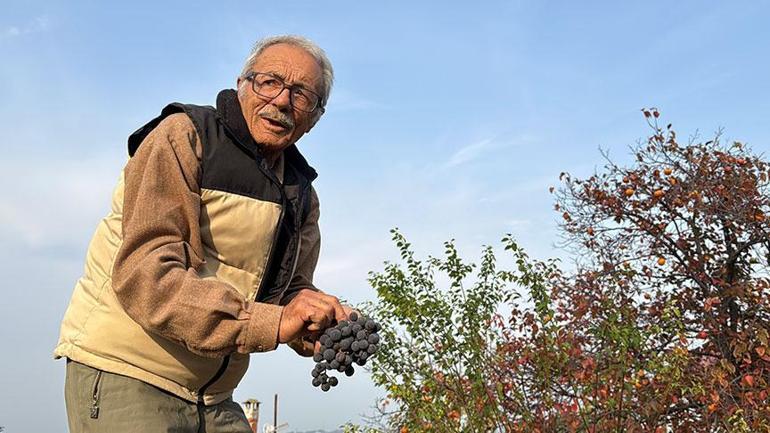 Almanya’da gördü Samsun’da uyguladı Tam 54 tür: ‘Türkiye geneline satış yaptım’ 1 Almanya’da gördü Samsun’da uyguladı Tam 54 tür: ‘Türkiye geneline satış yaptım’