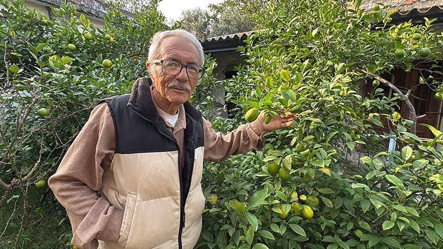 Almanya’da gördü Samsun’da uyguladı Tam 54 tür: ‘Türkiye geneline satış yaptım’