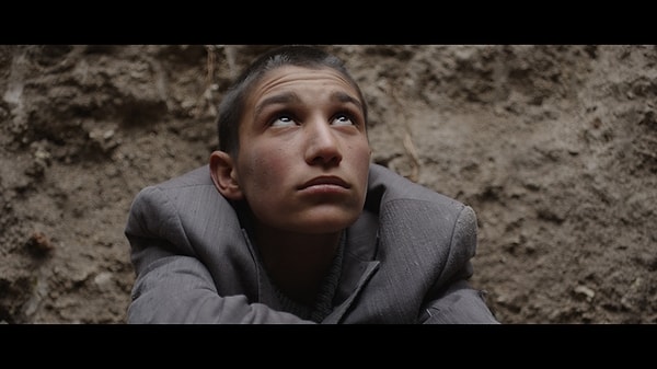 Altın Portakal 7 Ödül ile Göz Doldurdu: Tavşan İmparatorluğu Yılın En İyi Filmi Olmayı Başardı!