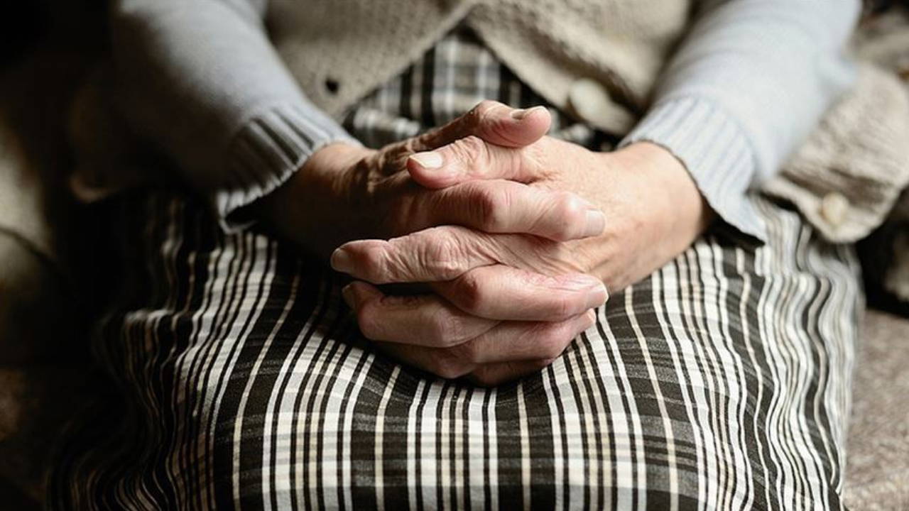 Alzheimer tedavisinin anahtarı, bu hayvanların kanında mı bâtın? 1 Alzheimer tedavisinin anahtarı, bu hayvanların kanında mı bâtın?