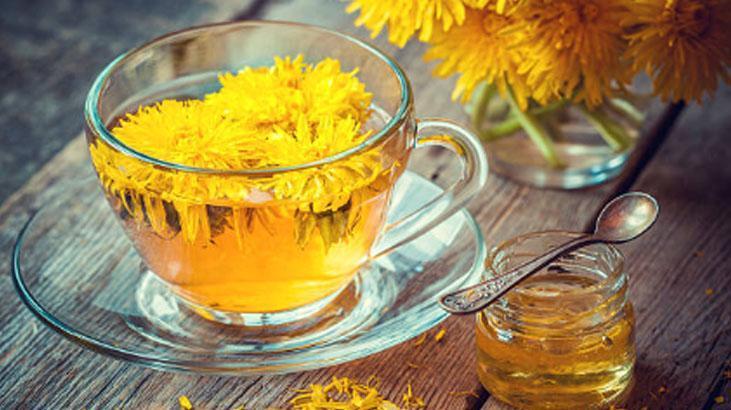 Avrupa’da zeka ilacı, Türkiye'de var ama bilen yok! Yol kenarındaki mucize 3 Avrupa’da zeka ilacı, Türkiye'de var ama bilen yok! Yol kenarındaki mucize