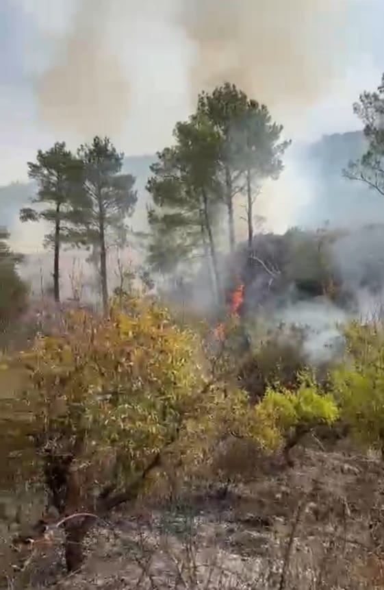 Bahçesindeki Ateş İçinde Kalan Hayat: Bir Trajedi Hikayesi 1 Bahçesindeki Ateş İçinde Kalan Hayat: Bir Trajedi Hikayesi