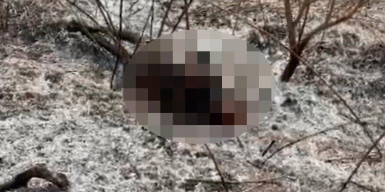 Bahçesindeki Ateş İçinde Kalan Hayat: Bir Trajedi Hikayesi