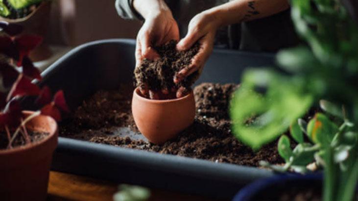 Bahçeyi coşturan tohum bombası 7 adımda hazır! 2 hafta sonra ilk fideyi veriyor 2 Bahçeyi coşturan tohum bombası 7 adımda hazır! 2 hafta sonra ilk fideyi veriyor