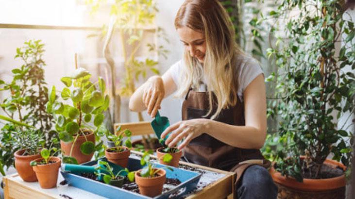 Bahçeyi coşturan tohum bombası 7 adımda hazır! 2 hafta sonra ilk fideyi veriyor 6 Bahçeyi coşturan tohum bombası 7 adımda hazır! 2 hafta sonra ilk fideyi veriyor