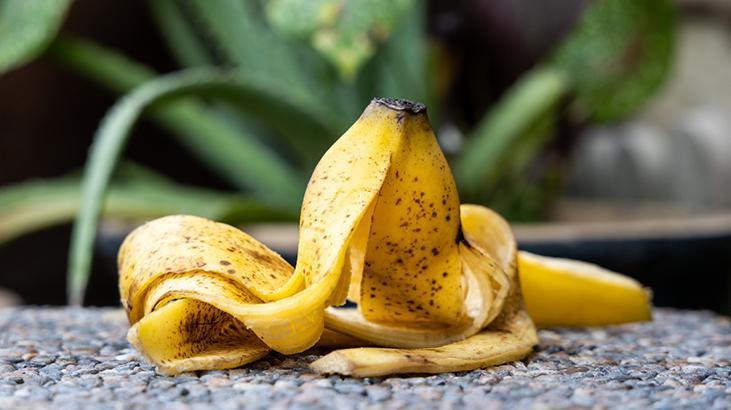 Bahçıvanlardan kasım uyarısı! Bahçeye muz kabuğu koyun, farkı baharda görün