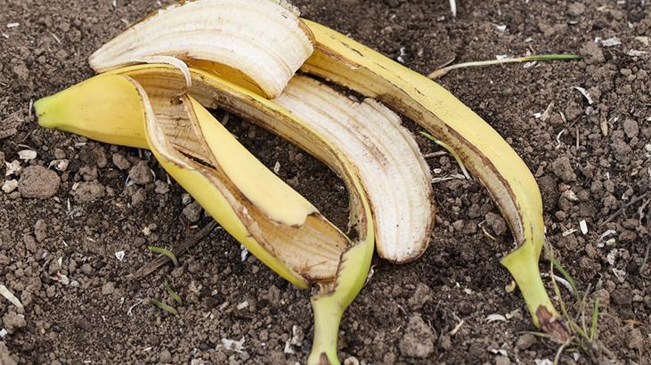 Bahçıvanlardan kasım uyarısı! Bahçeye muz kabuğu koyun, farkı baharda görün