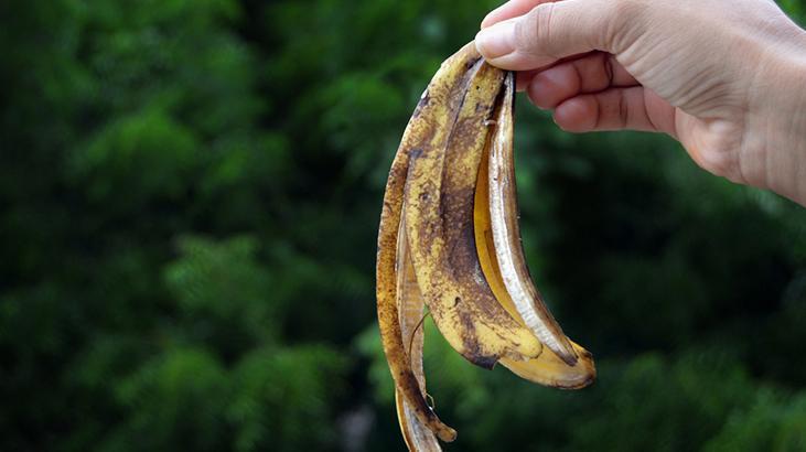 Bahçıvanlardan kasım uyarısı! Bahçeye muz kabuğu koyun, farkı baharda görün