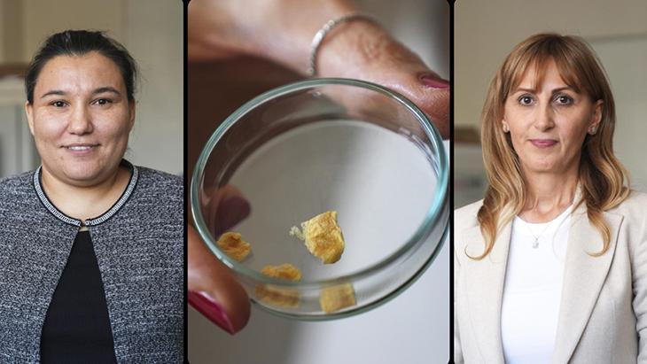 Balık kılçığı yüksek kaliteli kolajene nasıl dönüştürüldü? 2 Balık kılçığı yüksek kaliteli kolajene nasıl dönüştürüldü?