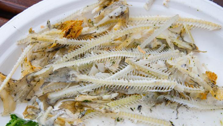 Balık kılçığı yüksek kaliteli kolajene nasıl dönüştürüldü?