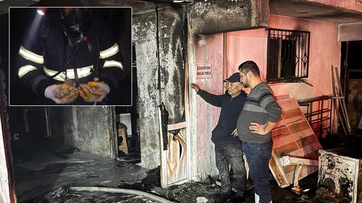 Balıkesir’de tavuk çiftliğinde yangın faciası! 5 bin civciv telef oldu