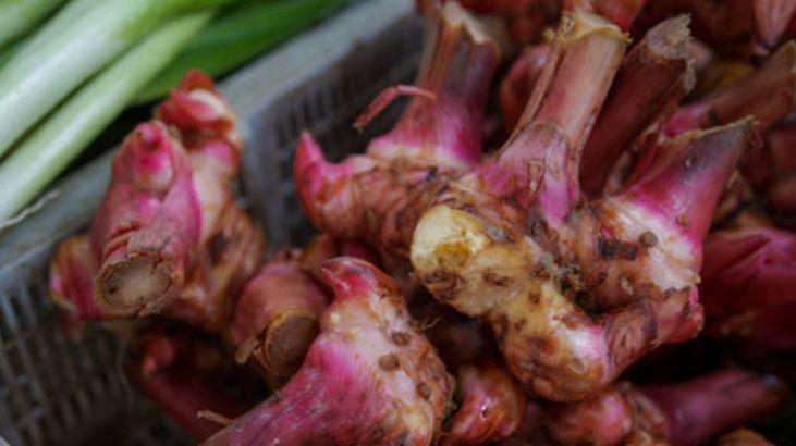 Baş ağrısına çözüm: Havlıcan mucizesi! Macun, çay, toz her formda tüketiliyor 5 Baş ağrısına çözüm: Havlıcan mucizesi! Macun, çay, toz her formda tüketiliyor