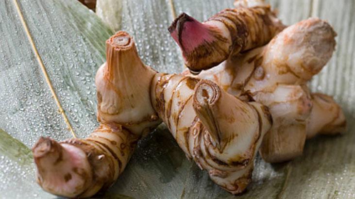 Baş ağrısına çözüm: Havlıcan mucizesi! Macun, çay, toz her formda tüketiliyor 7 Baş ağrısına çözüm: Havlıcan mucizesi! Macun, çay, toz her formda tüketiliyor