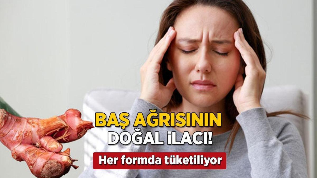 Baş ağrısına çözüm: Havlıcan mucizesi! Macun, çay, toz her formda tüketiliyor