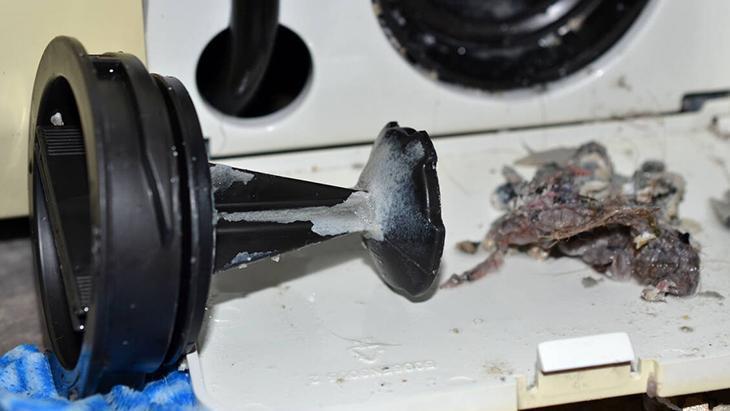 Bazı makineler daha çok nem tutuyor! Düzenli bakımdan gelen ferahlık 3 Bazı makineler daha çok nem tutuyor! Düzenli bakımdan gelen ferahlık