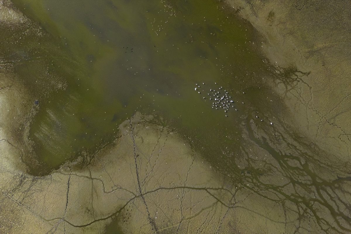 Belevi Gölü'nde Kuraklık Krizi: Doğa Alarm Veriyor 6 Belevi Gölü'nde Kuraklık Krizi: Doğa Alarm Veriyor