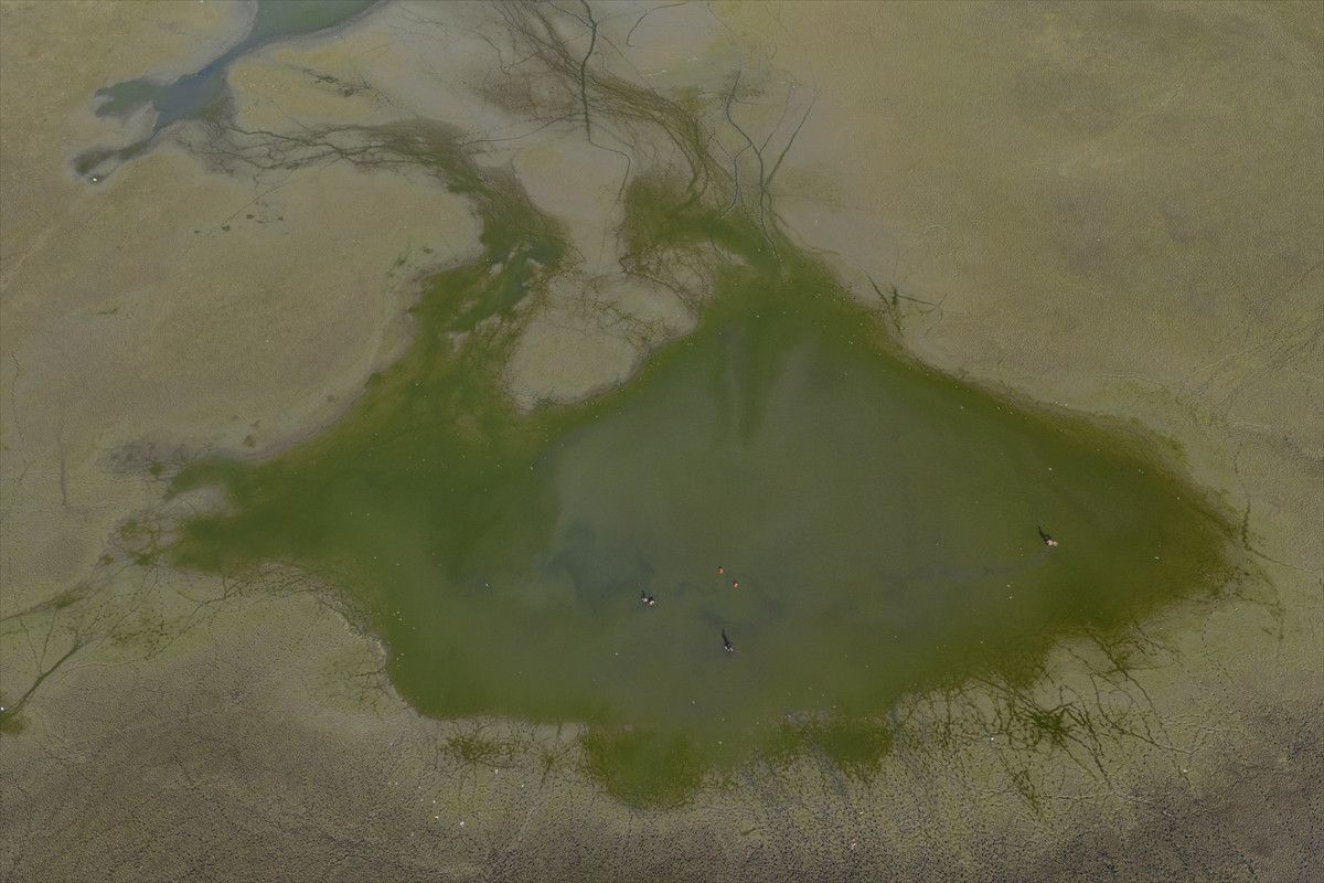 Belevi Gölü'nde Kuraklık Krizi: Doğa Alarm Veriyor 7 Belevi Gölü'nde Kuraklık Krizi: Doğa Alarm Veriyor