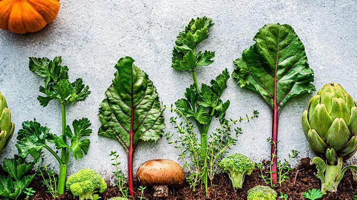 Beyaz saç telleri can sıkmasın! Sebebi tabaktan geçiyor olabilir, sofradan eksik etmeyin