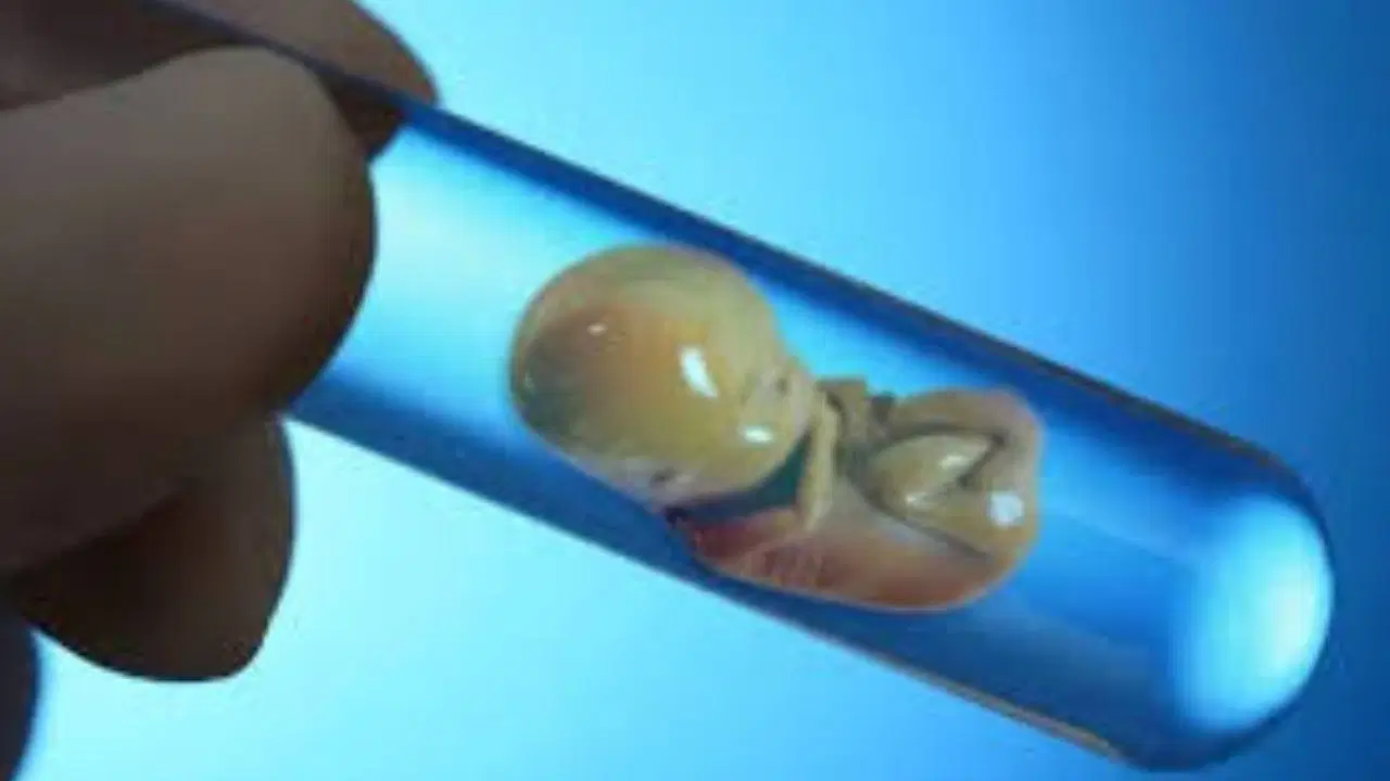 Bilim dünyası alarmda: Laboratuvarda üretilen embriyolar gerçeğe her geçen gün yaklaşıyor 1 Bilim dünyası alarmda: Laboratuvarda üretilen embriyolar gerçeğe her geçen gün yaklaşıyor