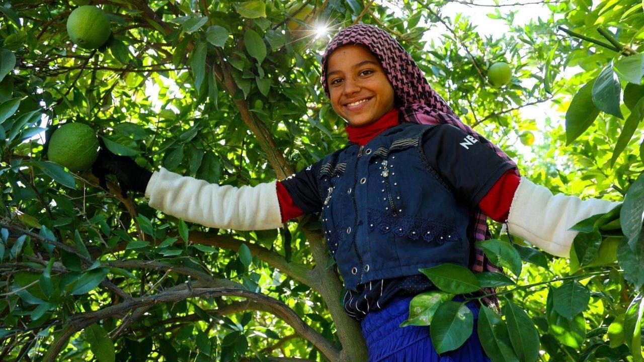 Binbir emekle toplanıyor: ‘Üstü açık fabrika’