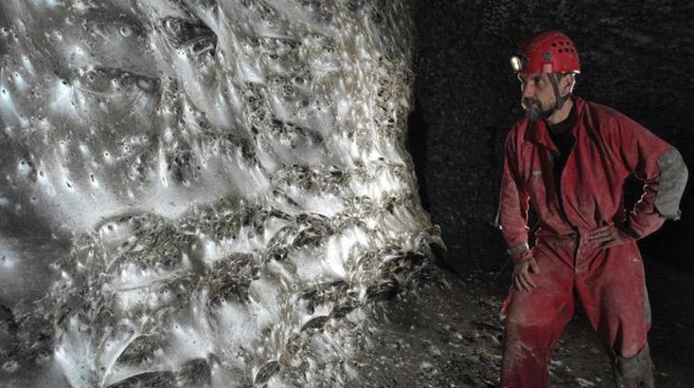 Binlerce örümceğin bu mağarada ne işi var? Yemek kavgası yok: Aynı ağda yaşıyorlar 1 Binlerce örümceğin bu mağarada ne işi var? Yemek kavgası yok: Aynı ağda yaşıyorlar
