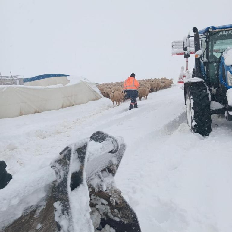Bir kent bembeyaz! Kar kalınlığı 40 santimetreye ulaştı 6 Bir kent bembeyaz! Kar kalınlığı 40 santimetreye ulaştı