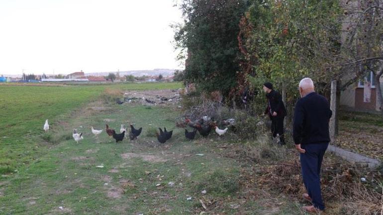 Bir mahalle diken üstünde! ‘Sabah 8'den akşam 4'e kadar çoban gibi bekliyoruz’