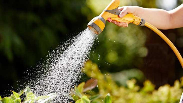 Bitkiseverlerin yeni gözdesi! 3 malzemeli mucize karışım, mantarları yok ediyor