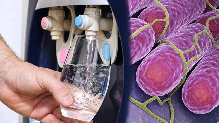 Böcek ailesi faciasında ikinci perde! Ortak nokta aynı otel mi? Tehlikeye dair 3 ihtimal 4 Böcek ailesi faciasında ikinci perde! Ortak nokta aynı otel mi? Tehlikeye dair 3 ihtimal