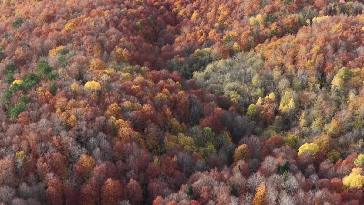 Bolu Mengen'de Sonbahar Güzelliklerinin Keşfi