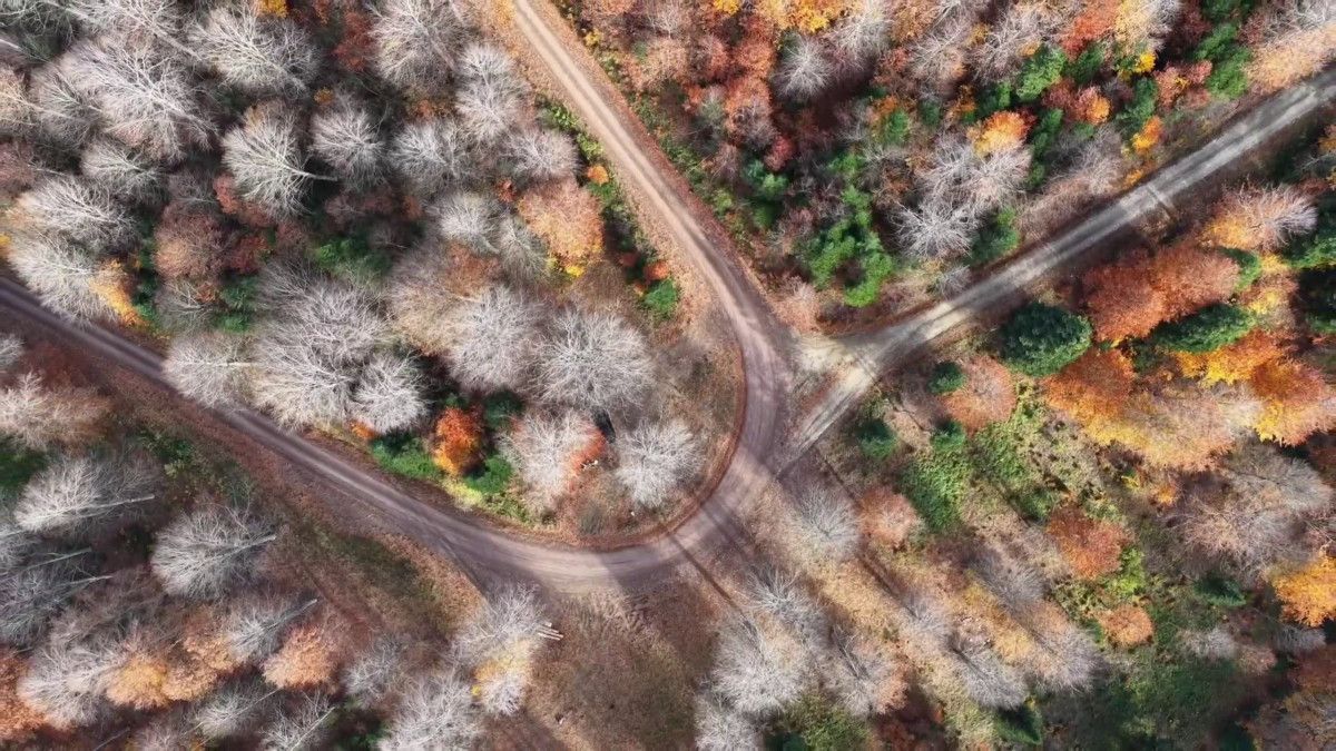 Bolu Mengen'de Sonbahar Güzelliklerinin Keşfi