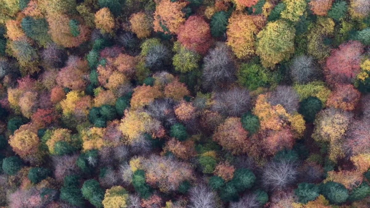 Bolu Mengen'de Sonbahar Güzelliklerinin Keşfi