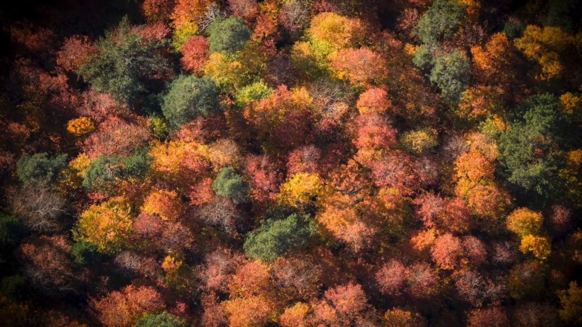 Bolu Mengen'de Sonbahar Güzelliklerinin Keşfi