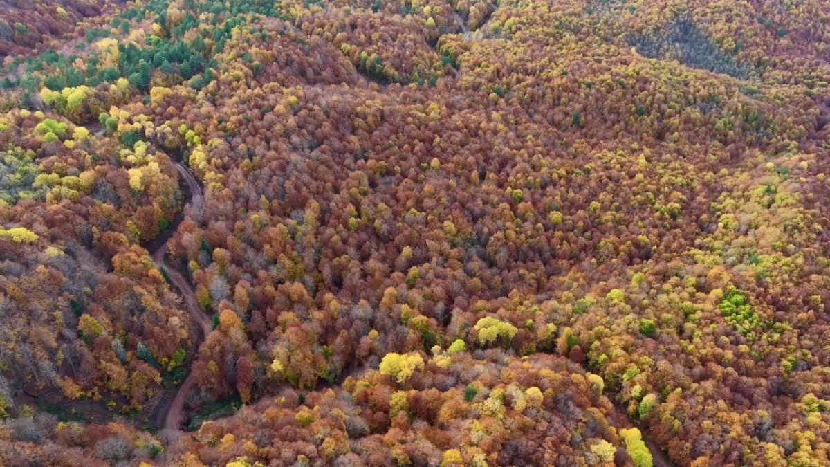 Bolu Mengen’de Sonbahar Güzelliklerinin Keşfi