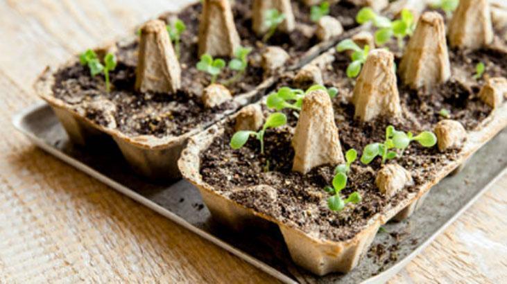 Boş kolilerle bahçenizi kıştan bahara hazırlayın, çiçekler coşacak!