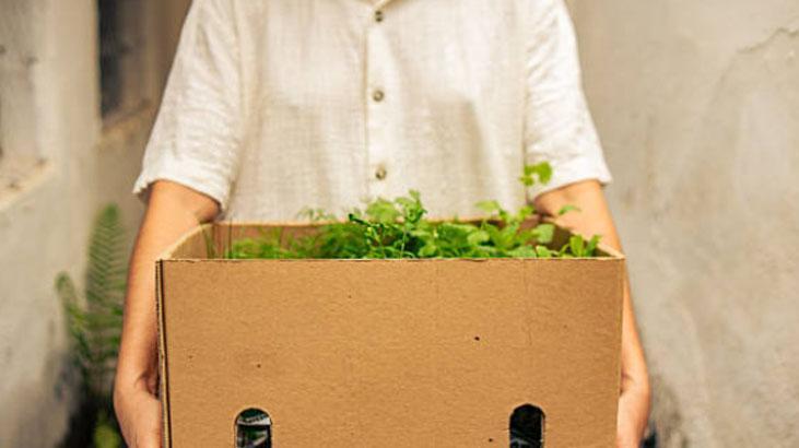 Boş kolilerle bahçenizi kıştan bahara hazırlayın, çiçekler coşacak!