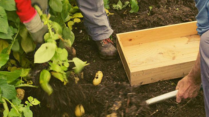 Boş kolilerle bahçenizi kıştan bahara hazırlayın, çiçekler coşacak!