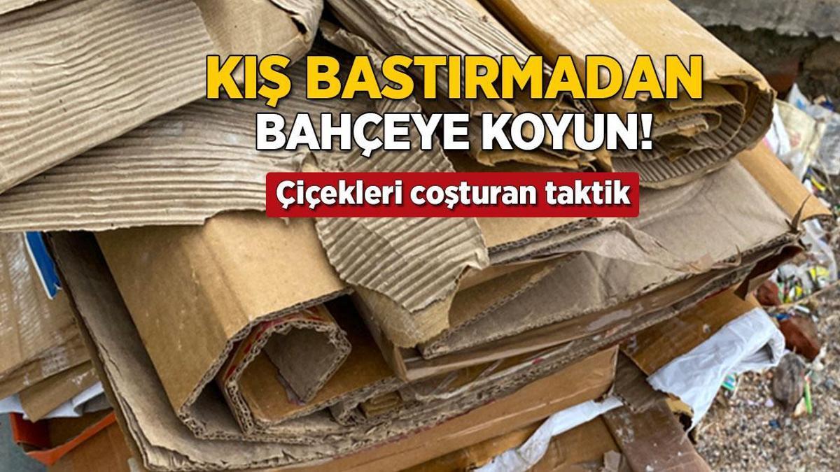 Boş kolilerle bahçenizi kıştan bahara hazırlayın, çiçekler coşacak!