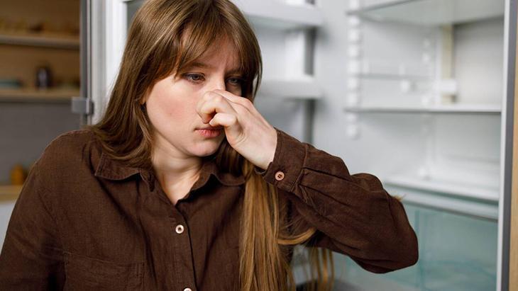 Buzdolabı kokusunu anında yok ediyor! Önce contaları kontrol edin, 1 paketi bile yetiyor