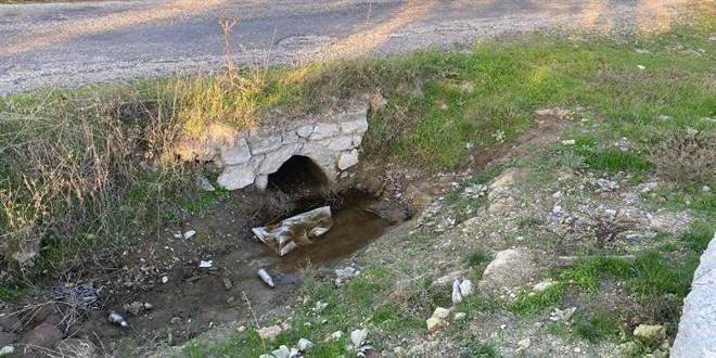 Çanakkale’de Gizemli Bir Üzüntü: Boş Arazide Yeni Doğan Bebek Cesedi Bulundu
