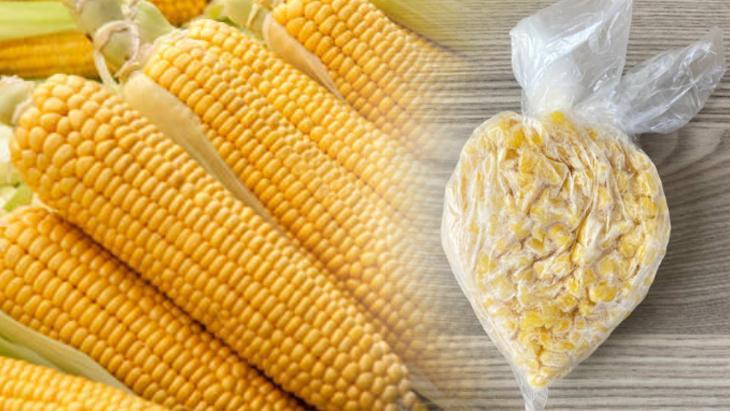 Çatal takıp sıyırın! Mısırı haşlayıp dondurucuya koyunca 12 ay dayanıyor: Hava kalmasın 1 Çatal takıp sıyırın! Mısırı haşlayıp dondurucuya koyunca 12 ay dayanıyor: Hava kalmasın