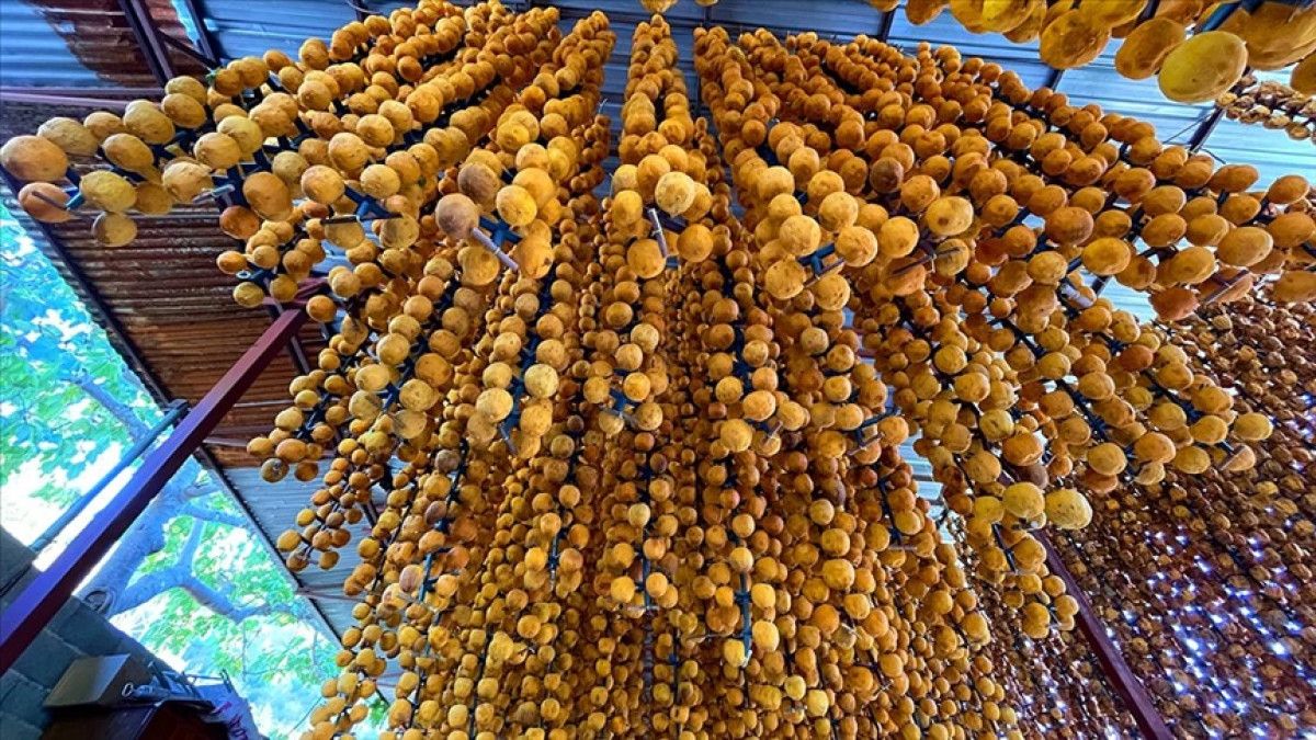 Cennet Hurması Tüketiminde Dikkat Edilmesi Gerekenler: Bağırsak Tıkanıklığına Yol Açabilir! 2 Cennet Hurması Tüketiminde Dikkat Edilmesi Gerekenler: Bağırsak Tıkanıklığına Yol Açabilir!