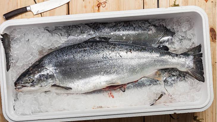 Çiğ balığı böyle saklayın! 6 ay dayanıyor: Koku yaymasın diye 1 tutam serpin