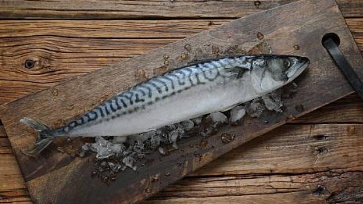 Çiğ balığı böyle saklayın! 6 ay dayanıyor: Koku yaymasın diye 1 tutam serpin