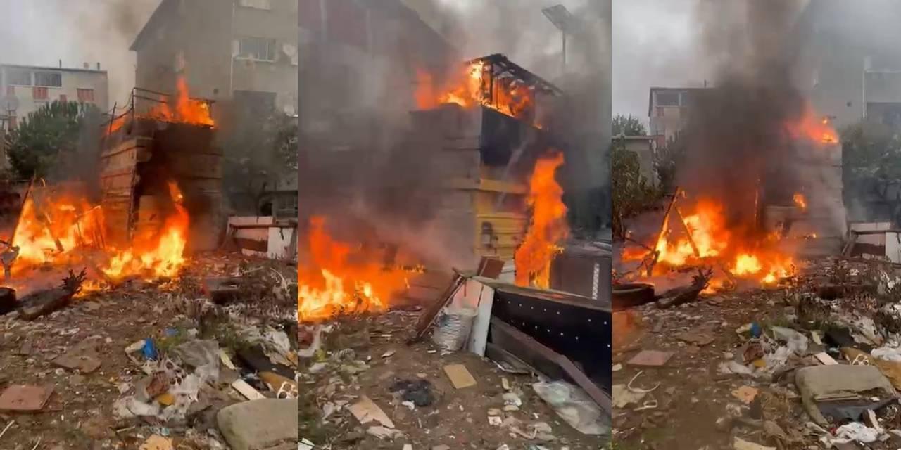 Çocukların Oyunlarının Trajik Sonucu: 50 Hayvana Kıyan Yangın!