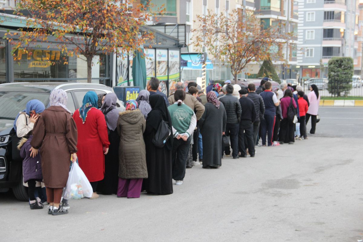 Çorum'da Hamsi Fiyatlarında Şaşırtıcı Düşüş: 40 Lira ile Kuyruklar Oluşuyor! 1 Çorum'da Hamsi Fiyatlarında Şaşırtıcı Düşüş: 40 Lira ile Kuyruklar Oluşuyor!