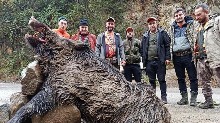 Dev avlandı! 7 avcı peşindeydi, Trabzon'da öldürüldü 1 Dev avlandı! 7 avcı peşindeydi, Trabzon'da öldürüldü