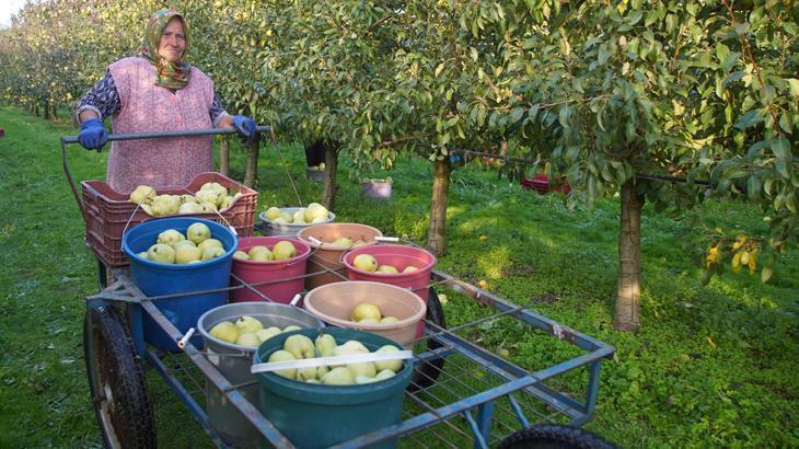 Devlet desteğiyle 21 yıl önce üretime başladılar: Geliri diğerlerine göre çok yüksek’