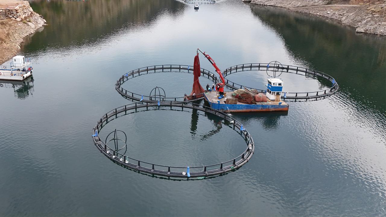 Diyarbakır’da kuruldu, dünyaya satılacak! Mezopotamya Somunu’na yoğun talep